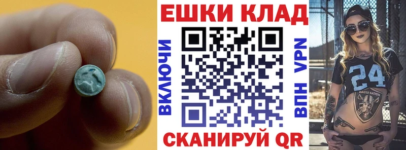 ЭКСТАЗИ Punisher  купить закладку  Жердевка 