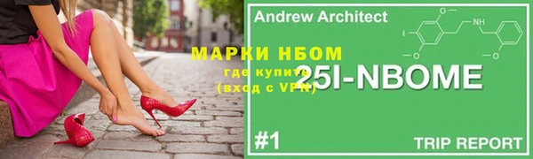 хмурый Лагань